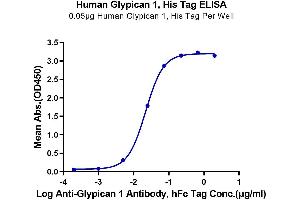 ELISA image for Glypican 1 (GPC1) (AA 24-530) protein (His tag) (ABIN7274773)