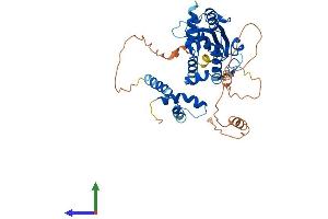 Protein Structure (PS) image for Maelstrom Spermatogenic Transposon Silencer (MAEL) (AA 1-434) protein (His tag) (ABIN7549291)