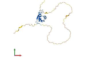 AlphaFold protein structure predicition of Mouse Recombinant Rbpms Protein, UniprotID Q9WVB0