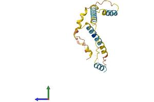 AlphaFold protein structure predicition of Human Recombinant HMGN2P46 Protein, UniprotID Q86SG4