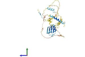 Protein Structure (PS) image for RD RNA Binding Protein (RDBP) (AA 1-375) protein (His tag) (ABIN7562939)