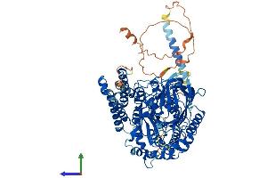 AlphaFold protein structure predicition of Human Recombinant TFR2 Protein, UniprotID Q9UP52 (Transferrin Receptor 2 Protein (TFR2) (AA 1-801) (His tag))