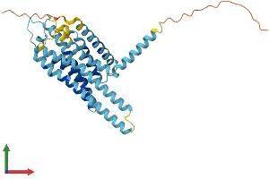 AlphaFold protein structure predicition of Human Recombinant GPBAR1 Protein, UniprotID Q8TDU6