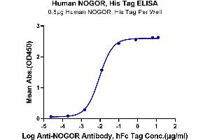 Immobilized Human NOGOR, His Tag at 5 μg/mL (100 μL/Well) on the plate. (Reticulon 4 Protein (RTN4) (AA 27-447) (His tag))