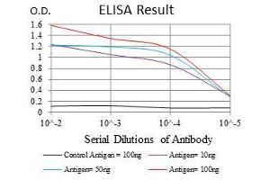 ELISA image for anti-Baculoviral IAP Repeat-Containing 5 (BIRC5) antibody (ABIN969504)