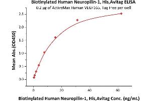 Immobilized Human VEGF165, Tag Free (Hied) (ABIN2181903,ABIN2693608,ABIN3071747) at 2 μg/mL (100 μL/well) can bind Biotinylated Human Neuropilin-1, His,Avitag (ABIN5674605,ABIN6253660) with a linear range of 0.
