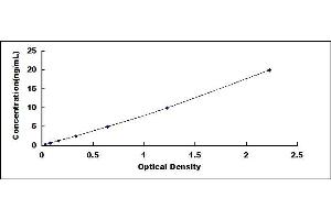 Typical standard curve (RPS19 ELISA Kit)