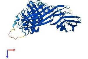 AP1m2 Protein (AA 1-423) (His tag)
