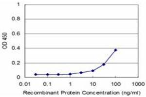 Detection limit for recombinant GST tagged MAGOH is approximately 3ng/ml as a capture antibody. (MAGOH Antikörper  (AA 1-110))