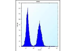 ABI2 Antibody (N-term) (ABIN656497 and ABIN2845772) flow cytometric analysis of Jurkat cells (right histogram) compared to a negative control cell (left histogram). (ABI2 Antikörper  (N-Term))