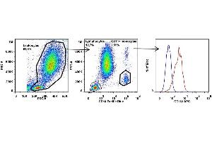 Surface staining of human peripheral blood using anti-human CD163 (clone (CD163 Antikörper  (APC))