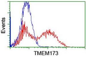 Image no. 1 for anti-Transmembrane Protein 173 (TMEM173) antibody (ABIN1501424) (STING/TMEM173 Antikörper)