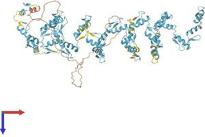 AlphaFold protein structure predicition of Human Recombinant ZNF721 Protein, UniprotID Q8TF20