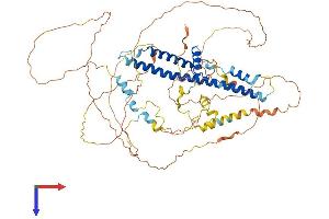 CREBRF Protein (AA 1-640) (His tag)