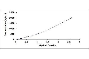 BMP3 ELISA Kit