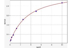 HRG ELISA Kit