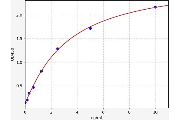 HRG ELISA Kit