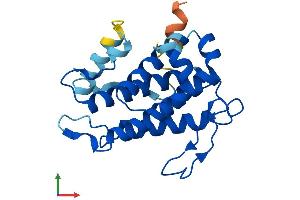 Protein Structure (PS) image for MOB Kinase Activator 3B (MOB3B) (AA 1-216) protein (His tag) (ABIN7549452)
