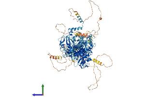 Protein Structure (PS) image for Potassium Channel, Subfamily T, Member 1 (KCNT1) (AA 1-1230) protein (His tag) (ABIN7554241)