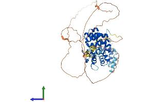 Protein Structure (PS) image for Family with Sequence Similarity 126, Member A (FAM126A) (AA 1-521) protein (His tag) (ABIN7558022)