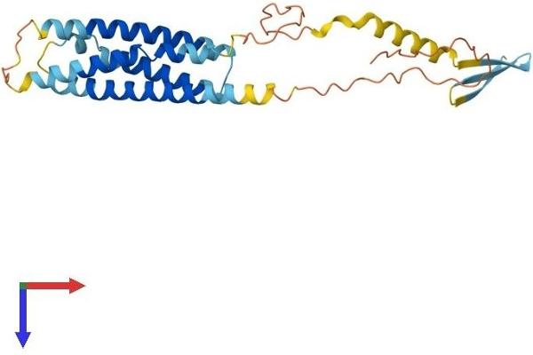 MS4A12 Protein (AA 1-267) (His tag)