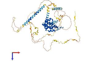 Epsin 1 Protein (EPN1) (AA 1-575) (His tag)
