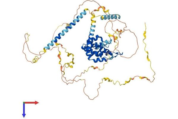Epsin 1 Protein (EPN1) (AA 1-575) (His tag)