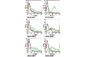 Specificity testing of 9A6. (CEACAM6 Antikörper)