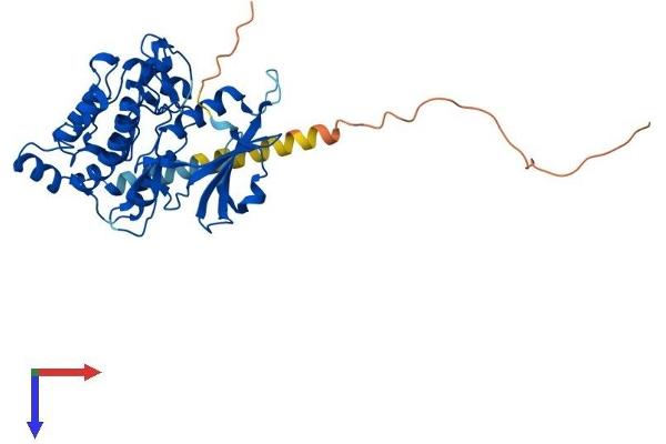 DAPK2 Protein (AA 1-370) (His tag)