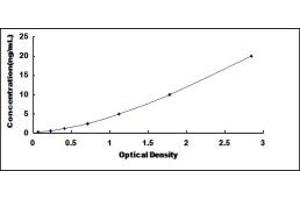 Typical standard curve (Ezrin ELISA Kit)