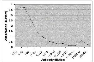 ELISA image for anti-Lactalbumin, alpha- (LALBA) antibody (ABIN2477393) (LALBA Antikörper)