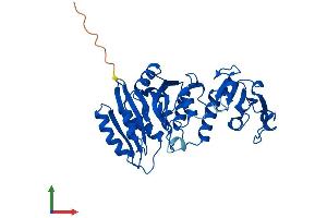 Protein Structure (PS) image for UDP-GlcNAc:betaGal beta-1,3-N-Acetylglucosaminyltransferase-Like 1 (B3GNTL1) (AA 1-357) protein (His tag) (ABIN7557119)
