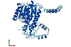 Protein Structure (PS) image for Dehydrogenase/reductase (SDR Family) Member 3 (DHRS3) (AA 1-302) protein (His tag) (ABIN7547102)