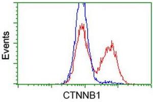 Flow Cytometry (FACS) image for anti-Catenin (Cadherin-Associated Protein), beta 1, 88kDa (CTNNB1) antibody (ABIN1496892) (CTNNB1 Antikörper)