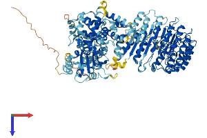 Protein Structure (PS) image for NLR Family, Pyrin Domain Containing 14 (NLRP14) (AA 1-993) protein (His tag) (ABIN7564038)