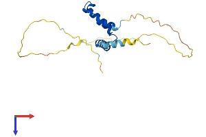 SCAND1 Protein (AA 1-179) (His tag)