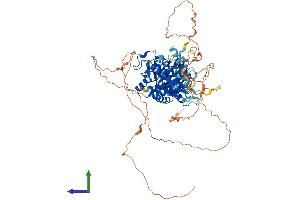 Protein Structure (PS) image for Tubulin tyrosine Ligase-Like Family, Member 3 (TTLL3) (AA 1-772) protein (His tag) (ABIN7555888)