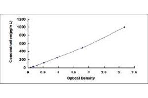 Typical standard curve (FGF4 ELISA Kit)