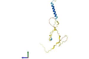 Protein Structure (PS) image for Dysbindin (Dystrobrevin Binding Protein 1) Domain Containing 2 (DBNDD2) (AA 1-158) protein (His tag) (ABIN7560637)
