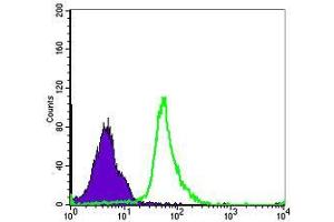 Flow Cytometry (FACS) image for anti-Nuclear Factor of kappa Light Polypeptide Gene Enhancer in B-Cells 1 (NFKB1) antibody (ABIN969312)