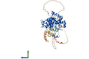 Protein Structure (PS) image for Lysine (K)-Specific Demethylase 4D (KDM4D) (AA 1-523) protein (His tag) (ABIN7548708)