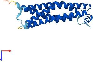 TMEM205 Protein (AA 1-189) (His tag)