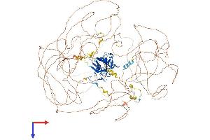 NKTR Protein (AA 1-1462) (His tag)