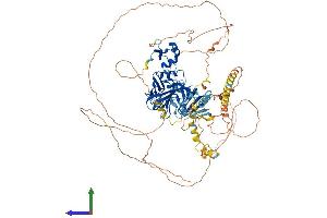 Protein Structure (PS) image for Oxidation Resistance 1 (OXR1) (AA 1-874) protein (His tag) (ABIN7550480)