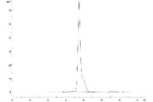 Size-exclusion chromatography-High Pressure Liquid Chromatography (SEC-HPLC) image for Adiponectin (ADIPOQ) (AA 18-247) protein (His tag) (ABIN7273799)