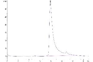 The purity of Human CD40 Ligand Trimer is greater than 95 % as determined by SEC-HPLC. (CD40 Ligand Protein (CD40LG) (Trimer) (His-DYKDDDDK Tag))