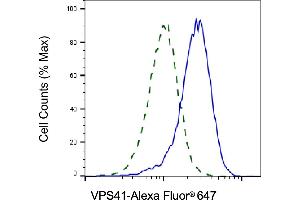 Validation of VPS41 knockdown using flow cytometry. (Rekombinanter VPS41 Antikörper)
