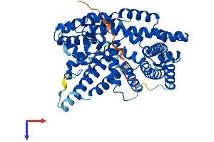 MBOAT7 Protein (AA 1-472) (His tag)