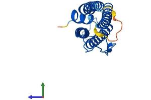 AlphaFold protein structure predicition of Mouse Recombinant Ftl2 Protein, UniprotID P49945 (FTL2 Protein (AA 1-183) (His tag))