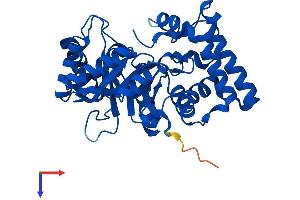 AKR7A3 Protein (AA 1-331) (His tag)
